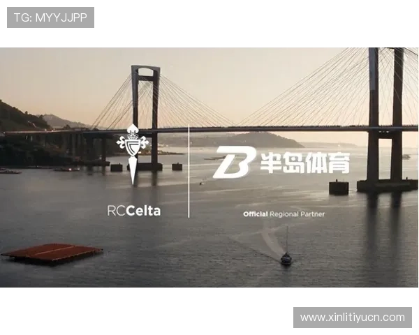 半岛体育官网入口下载官方渠道，确保账号安全与游戏稳定性