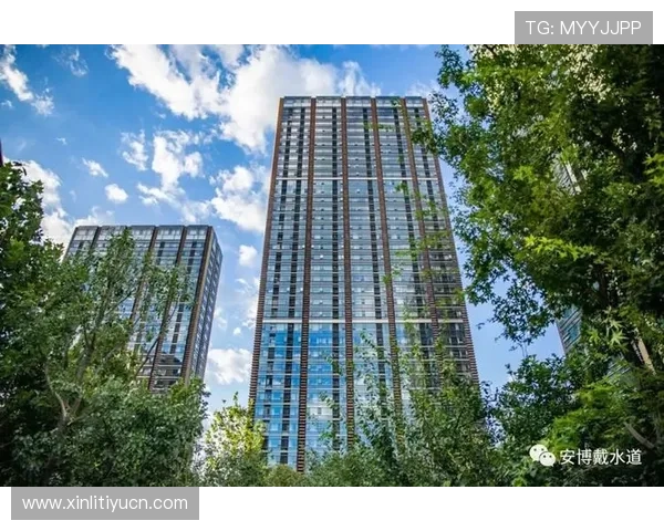 安博体育：打造专业化体育内容生态的领先品牌