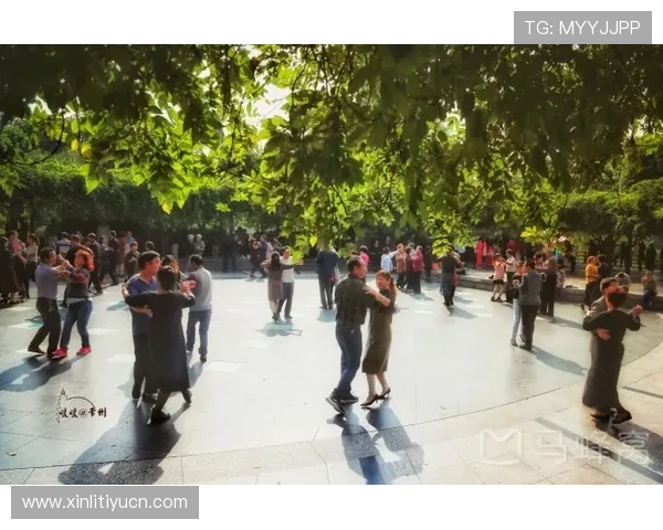 博坊体育全面解析：最新体育赛事资讯与专业分析助你掌握第一手动态