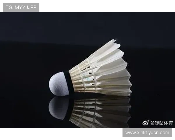 使用333体育手机网址随时随地掌握体育新闻热点和专业赛事分析内容