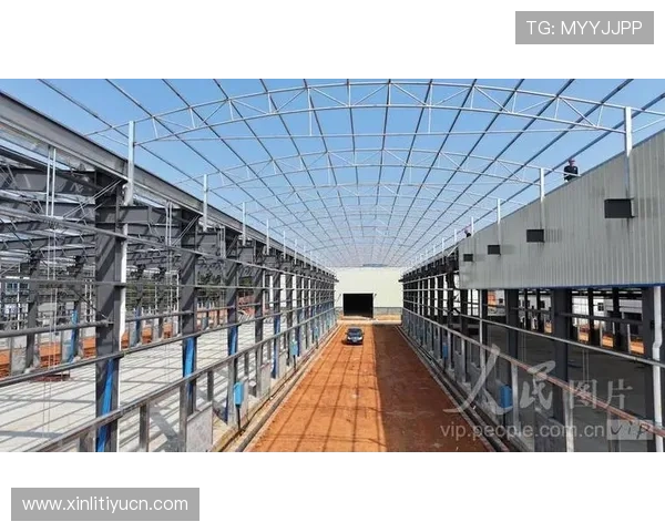 博鱼官网下载页面无法打开的原因及应对措施全面解析