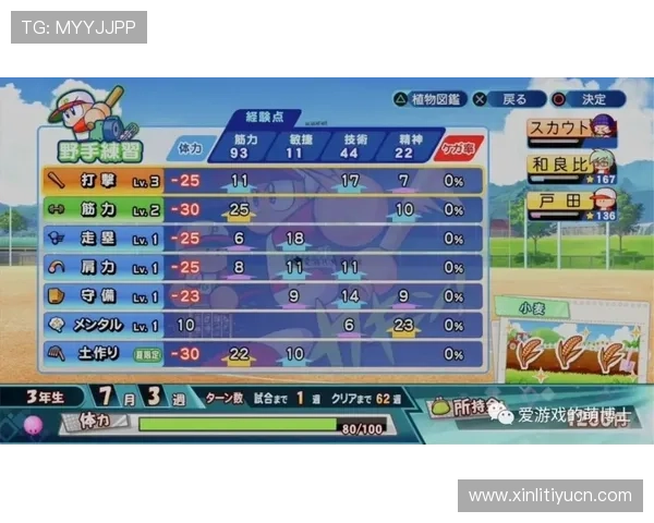 海星体育真人游戏详细攻略助你轻松掌握游戏技巧与玩法